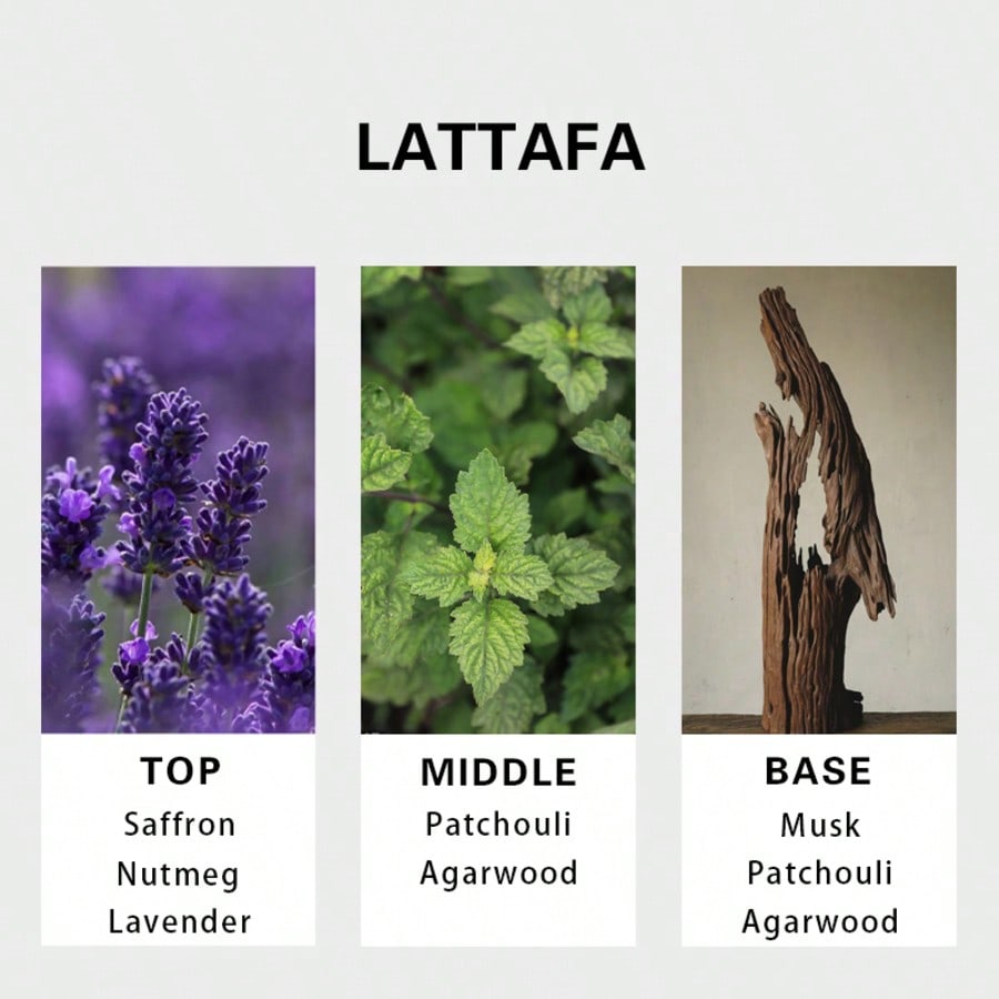 Lattafa Badee Al Oud For Glory - Perfume The Fragrance ulasan dan harga