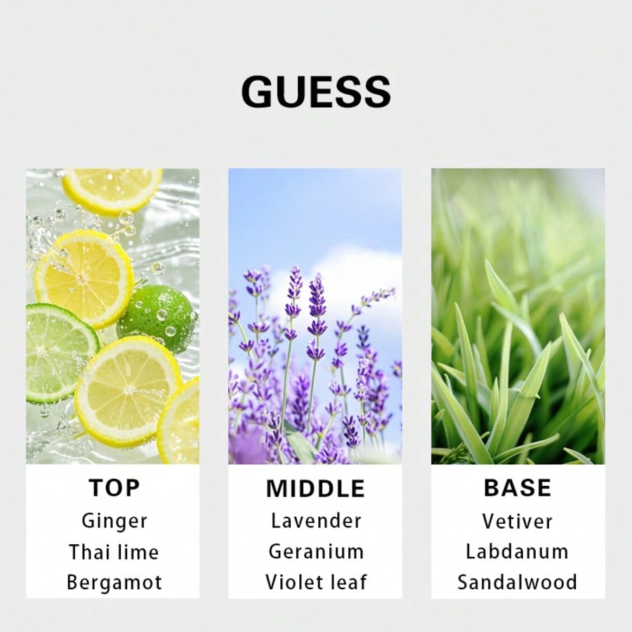 Guess Forever Men Eau De Toile - Perfume The Fragrance ulasan dan harga